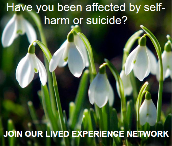 Call for local people with lived experience of self-harm or suicide to contribute to Lived Experience Network in Cheshire & Merseyside